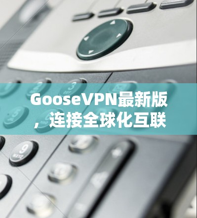 GooseVPN最新版,连接全球化互联网的高效深夜连接 GooseVPN最新版,连接全球化互联网的高效深夜连接
