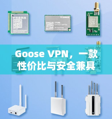 Goose VPN，一款性价比与安全兼具的中端VPN