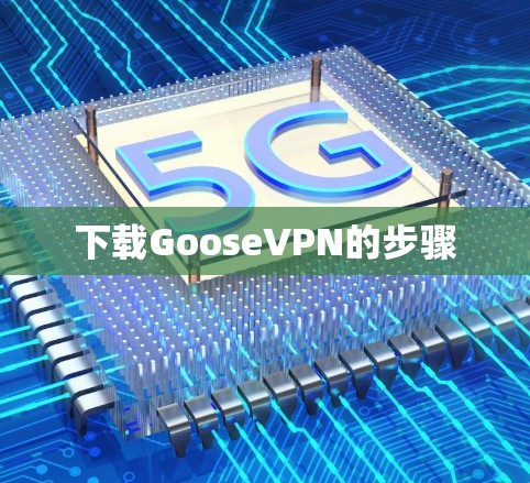 下载GooseVPN的步骤