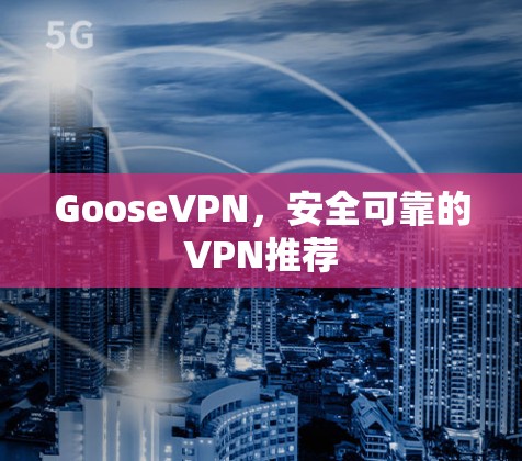 GooseVPN,安全可靠的VPN推荐 GooseVPN,安全可靠的VPN推荐
