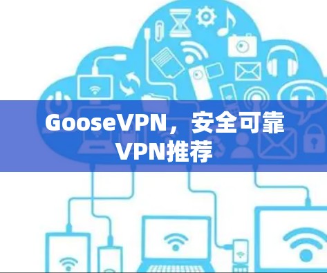 GooseVPN，安全可靠VPN推荐