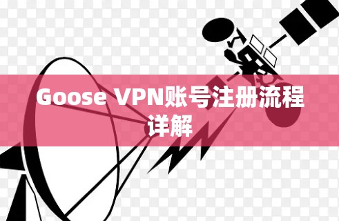 Goose VPN账号注册流程详解