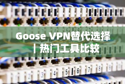 Goose VPN替代选择｜热门工具比较