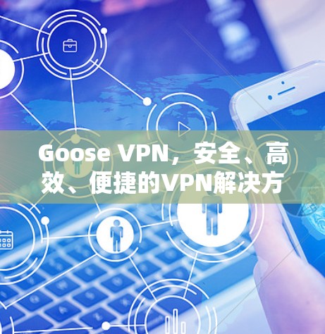 Goose VPN,安全、高效、便捷的VPN解决方案