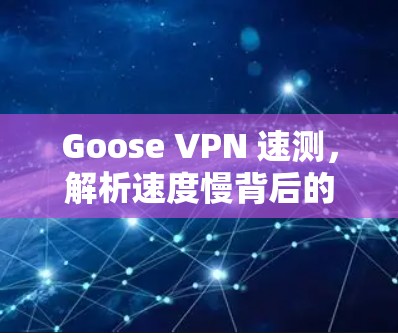 Goose VPN 速测,解析速度慢背后的真相