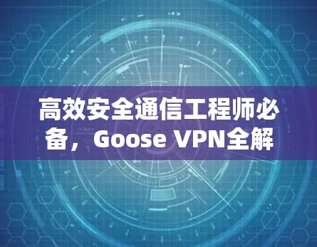 高效安全通信工程师必备,Goose VPN全解析