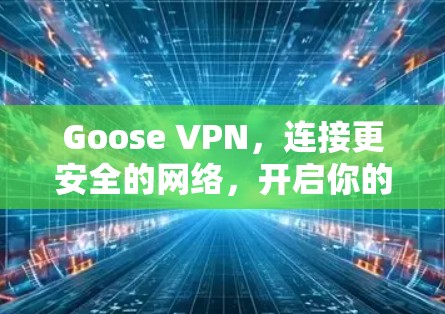 Goose VPN,连接更安全的网络,开启你的隐私之旅!