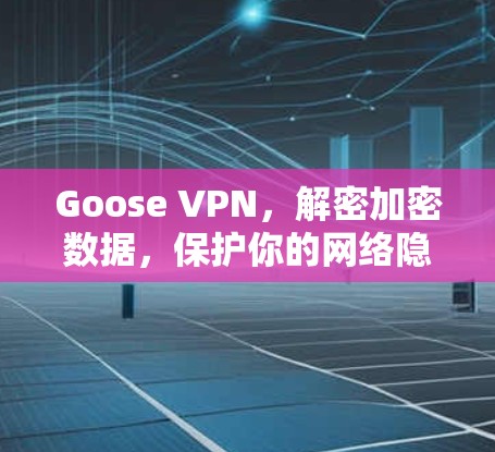 Goose VPN，解密加密数据，保护你的网络隐私