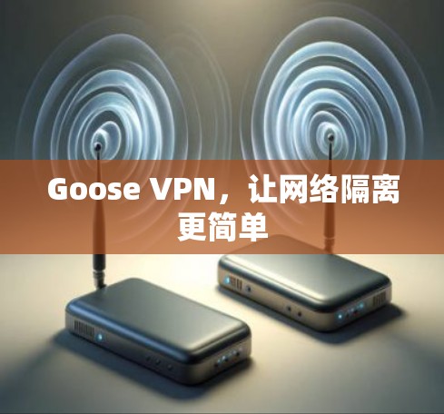 Goose VPN,让网络隔离更简单