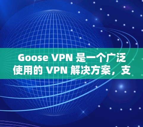 Goose VPN 是一个广泛使用的 VPN 解决方案，支持在多个机场节点和城市中心的服务器。以下是关于 Goose VPN 在机场节点和服务器推荐方面的详细信息