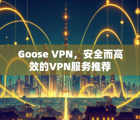 Goose VPN,安全而高效的VPN服务推荐