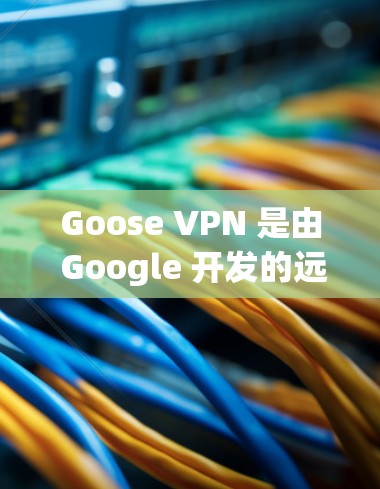 Goose VPN 是由 Google 开发的远程访问和VPN服务,功能全面,覆盖了远程访问、文件下载、专注模式、隐私设置等多个方面。以下是其主要功能的评测