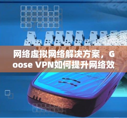 网络虚拟网络解决方案，Goose VPN如何提升网络效率与安全性
