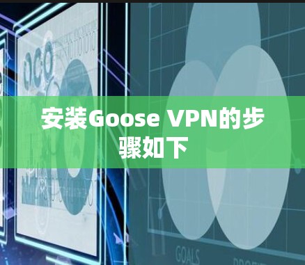 安装Goose VPN的步骤如下