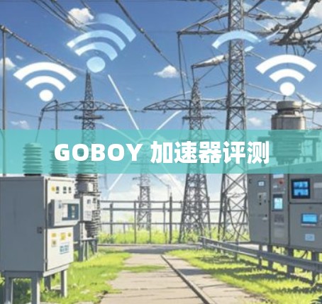 GOBOY 加速器评测