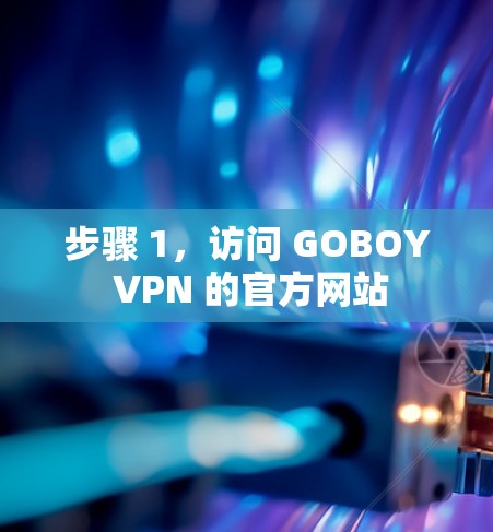 步骤 1，访问 GOBOY VPN 的官方网站