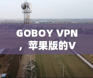 GOBOY VPN,苹果版的VPN工具—帮助你远离网络霸权 GOBOY VPN,苹果版的VPN工具—帮助你远离网络霸权
