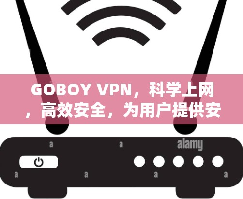 GOBOY VPN，科学上网，高效安全，为用户提供安心上网服务