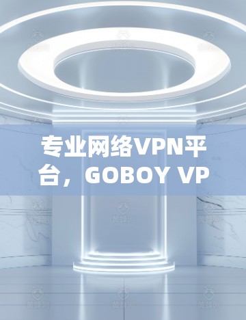 专业网络VPN平台,GOBOY VPN 的专业性与高效性