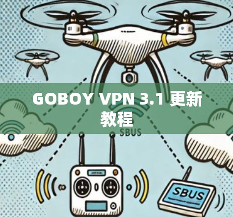 GOBOY VPN 3.1 更新教程