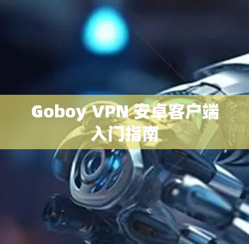 Goboy VPN 安卓客户端入门指南