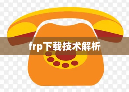 frp下载技术解析