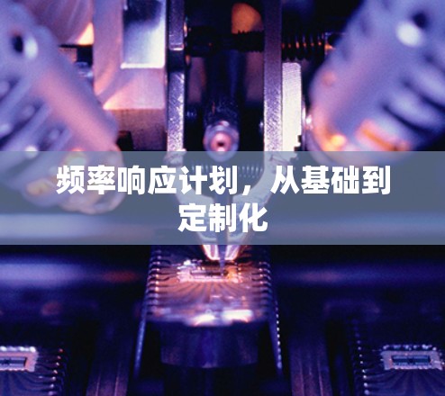 频率响应计划,从基础到定制化 频率响应计划,从基础到定制化