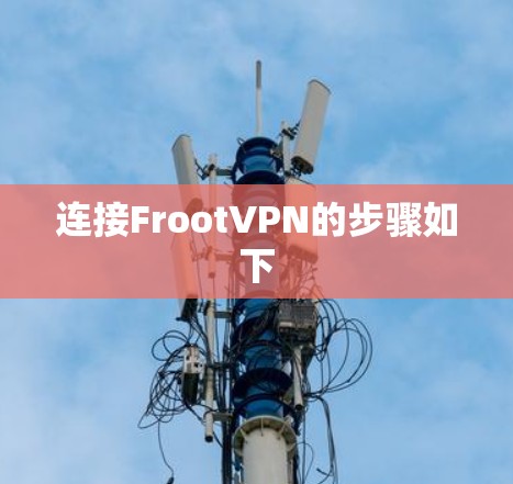 连接FrootVPN的步骤如下