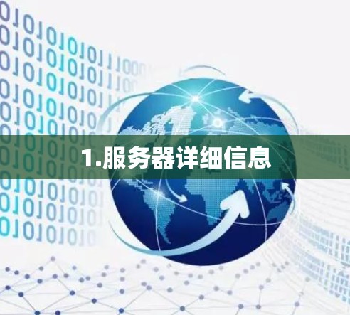 1.服务器详细信息