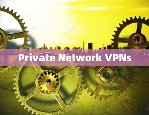 Private Network VPNs