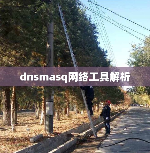 dnsmasq网络工具解析 dnsmasq网络工具解析