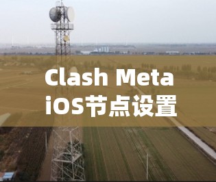 Clash Meta iOS节点设置是一个非常有用的工具，帮助开发者轻松创建适合他们需求的用户体验界面。以下是一个详细的配置指南，涵盖核心的节点布局设置，包括网格布局、节点布局和触摸屏布局