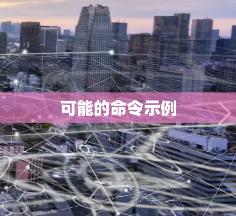 可能的命令示例
