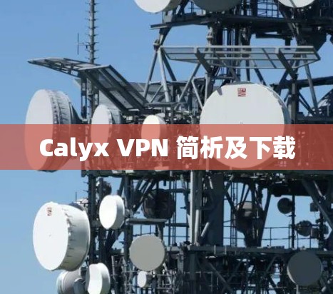 Calyx VPN 简析及下载