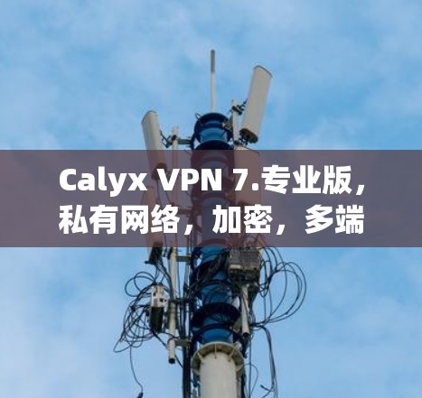 Calyx VPN 7.专业版，私有网络，加密，多端，网络扩展性，性能优化