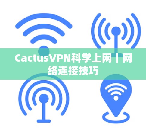 CactusVPN科学上网|网络连接技巧