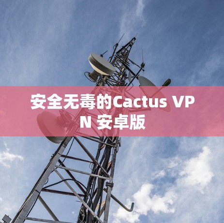 安全无毒的Cactus VPN 安卓版