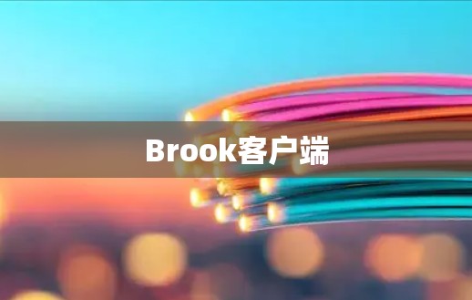 Brook客户端